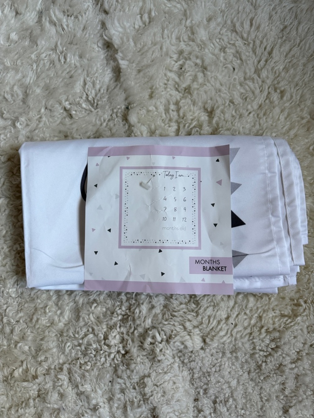 NWT - Soft Baby Milestone Months Blanket - White